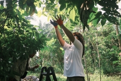 abdullah_yusof_bin_sallahudin-a_little_wild-9796-10570