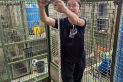 goh_xiao_yue-bornean_sun_bear_conservation_centre-11500-16020