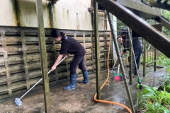 nur_shahira_binti_abdullah_tohhar-bornean_sun_bear_conservation_centre-11592-16259